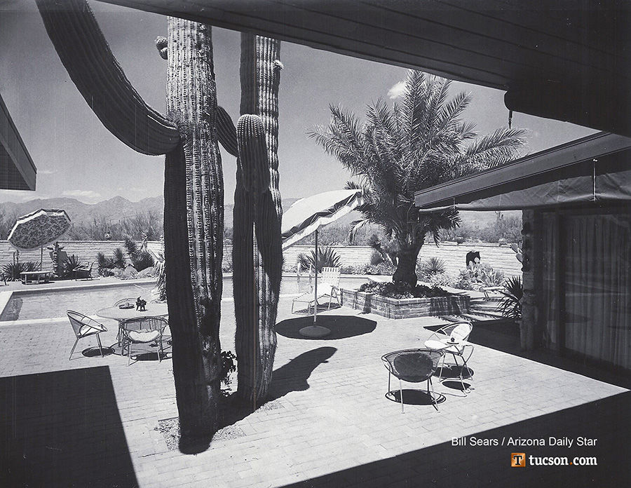 1963 Tucson home photos: A saguaro grows in their patio